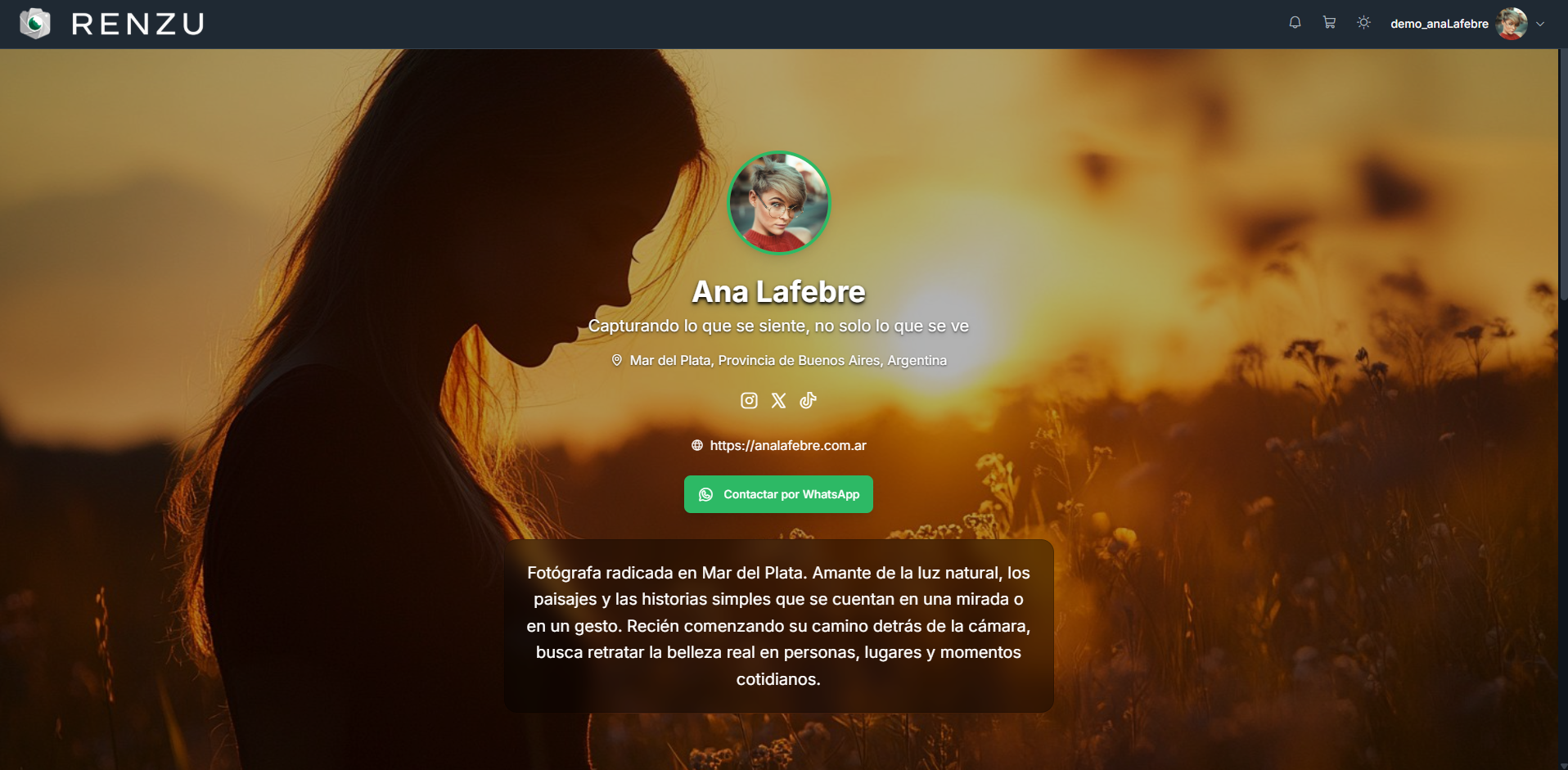 Preview de Perfil Básico