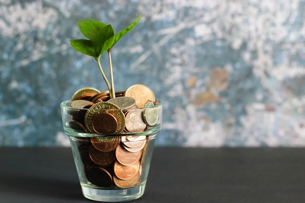 Vendé, cobrá y conseguí clientes