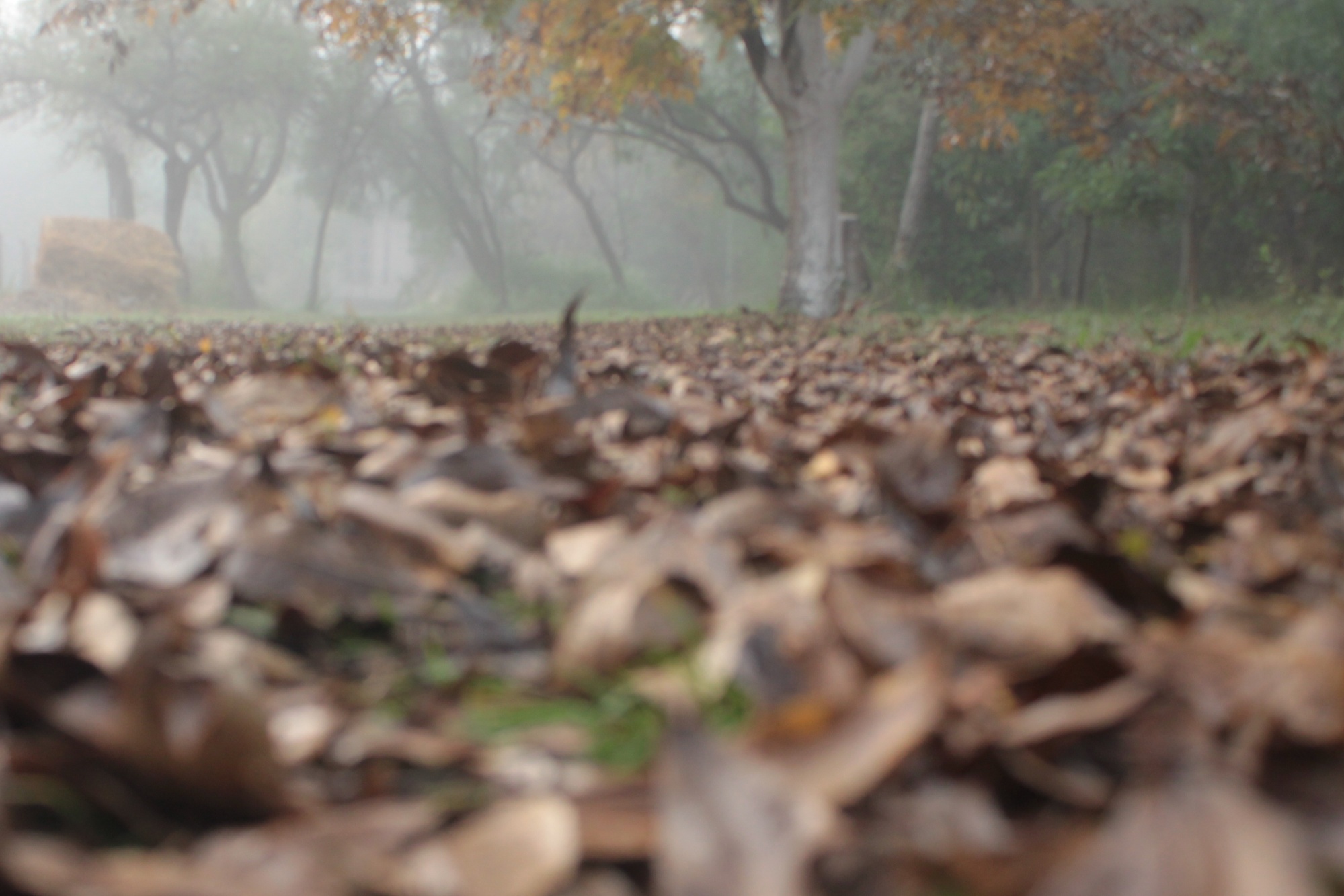 Hero Background