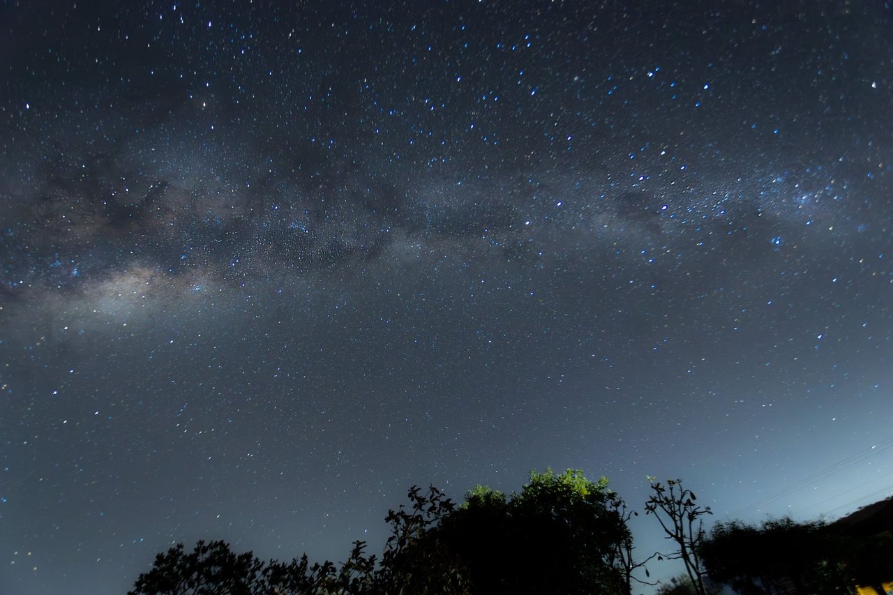 Vía Láctea sobre una línea de árboles en silueta, con el resplandor de una ciudad iluminando el horizonte del fondo